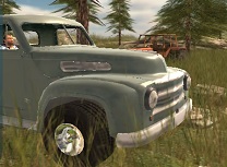 Camion 3D Rusesc Livrari