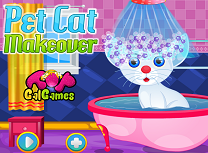 Ai Grija de Pisicuta