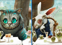 Alice in Tara Minunilor Asemanari