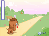 Animalutele Pet Shop Prinde Discul