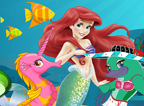 Ariel Concurs Sub Apa