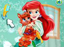 Ariel Ingrijeste Animalele