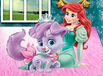 Ariel si Catelul Matey