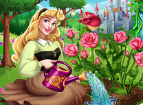 Aurora si Gradina de Trandafiri