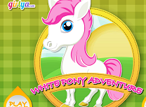 Aventurile Poneiului Alb