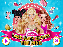 Barbie Ultima Iesire Inainte de Nunta