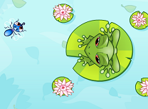 Jocuri cu Animalutele Pet Shop 