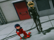 Buburuza si Motan Noir in Misiune