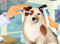 Catelul Blogger la Oftalmolog