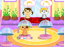 Coafuri Pentru Pisici