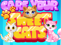 Curata Pisicile Dragute