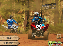 Curse cu Atv In Padure