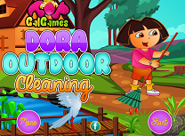 Dora Curatenie in Curte