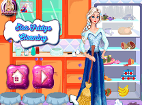 Elsa Curatenie in Frigider