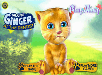 Ginger Merge la Dentist