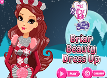 Haine Pentru Briar Beauty
