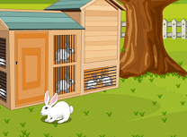 Iepurasul Evadeaza