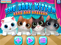 Ingrijeste Puii de Pisica