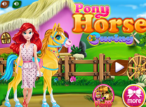 Ingrijirea Poneiului