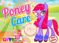 Ingrijirea Unui Ponei