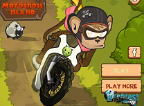 Maimuta cu Motocicleta