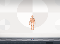 Manechinul de Testare