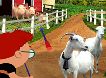 Micile Genii si Animalele