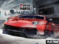 Parcari de Iarna cu V8