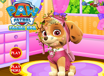 Paw Patrol la Spa