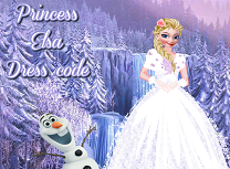 Printesa Elsa Rochii Elegante