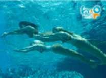 Puzzle cu Sirenele H2O