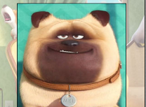 Puzzle cu Viata Secreta a Animalelor