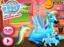 Rainbow Dash si Micul Ponei