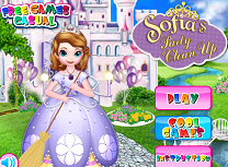 Sofia Curatenie Dupa Petrecere