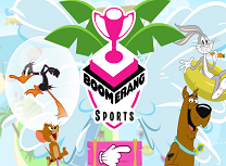 Sporturile Boomerang