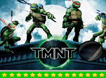 Testoasele Ninja Stele Ascunse