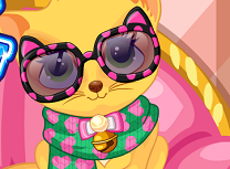 Tricoteaza Pentru Pisica