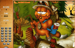 Garfield si Numerele Ascunse