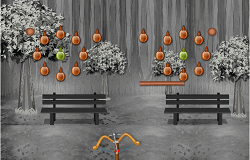 Tras cu Arcul in Nuci de Cocos