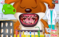 Dentistul Animalelor