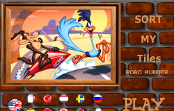 Road Runner Puzzle