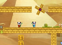 Ursii Panda in Desert