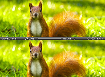 Veverite - Diferente