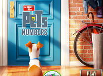 Viata Secreta a Animalelor Numere Ascunse