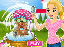 Zi de Spa Pentru Catei