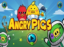 Angry Pigs