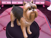 Barbie Salonul de Catei