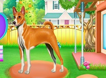 Catel Evadeaza din Cusca