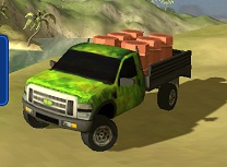 Camion Tropical 3D Livrari