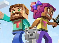 Conectiile Minecraft